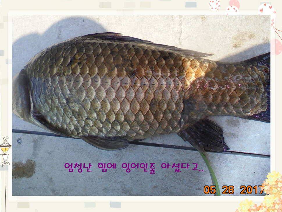 도심속의 작은 쉼터 화성 관리 낚시터입니다밤은 대단합니다 (유료터정보 - 유료터점주조황)