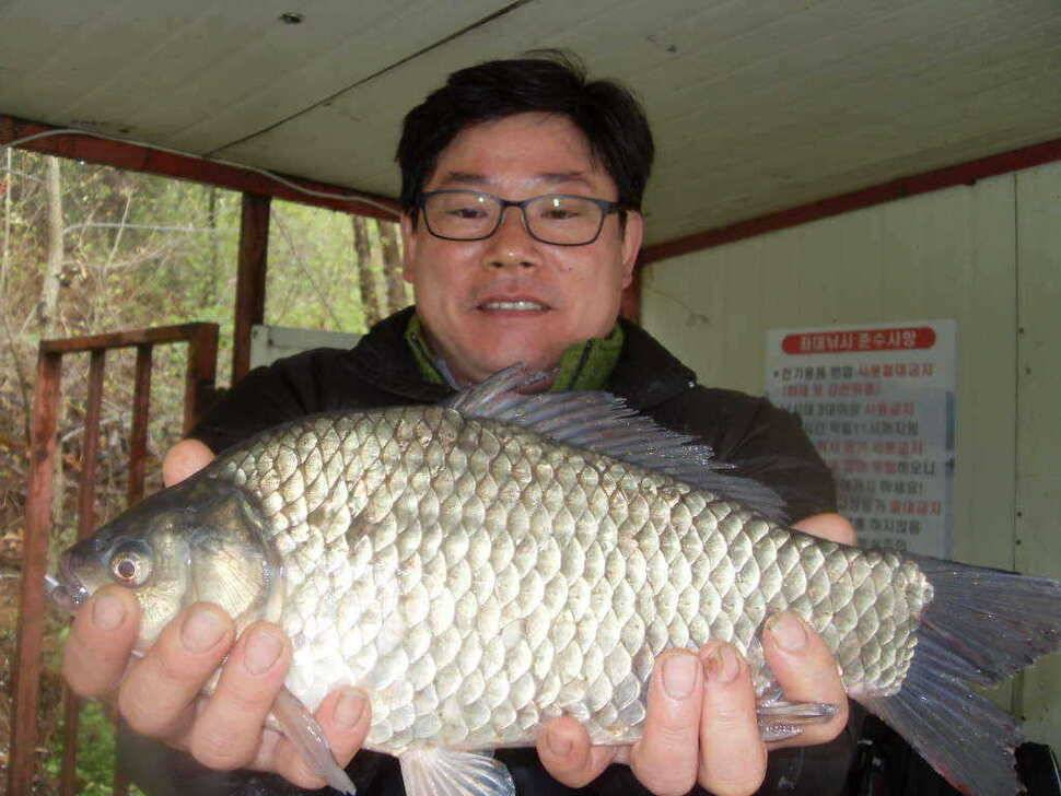 당진 가교리지 토종 대물 조황정보 (유료터정보 - 유료터점주조황)
