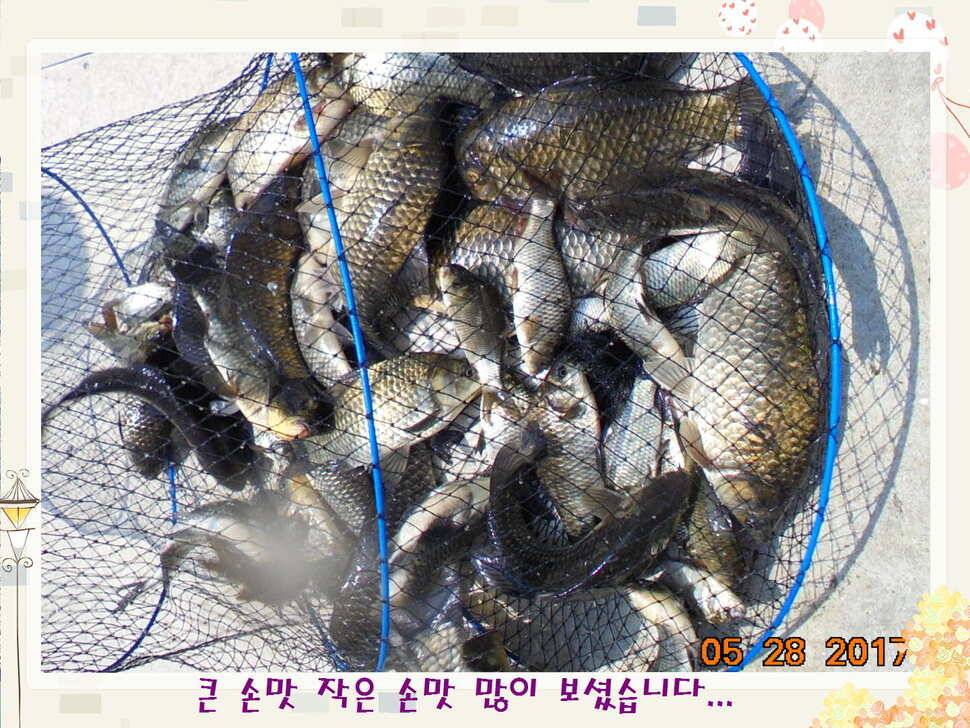 도심속의 작은 쉼터 화성 관리 낚시터입니다밤은 대단합니다 (유료터정보 - 유료터점주조황)