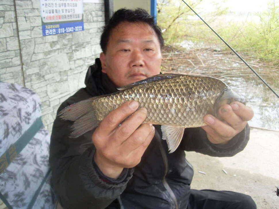 당진 가교리지 토종 대물 조황정보 (유료터정보 - 유료터점주조황)