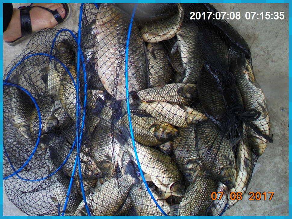 도심속의 작은 쉼터 화성 관리 낚시터입니다연일 대박 (유료터정보 - 유료터점주조황)