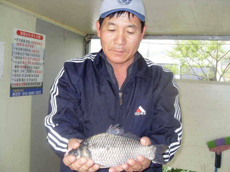 당진 가교리지 토종 대물 조황정보 (유료터정보 - 유료터점주조황)