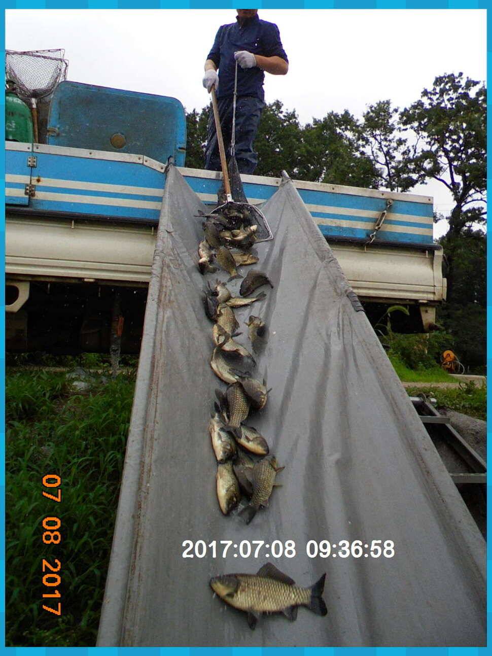 도심속의 작은 쉼터 화성 관리 낚시터입니다연일 대박 (유료터정보 - 유료터점주조황)