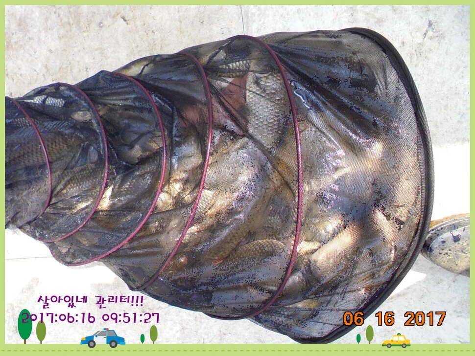 도심속의 작은 쉼터 화성 관리 낚시터입니다관리에 어둠이 내리면 (유료터정보 - 유료터점주조황)