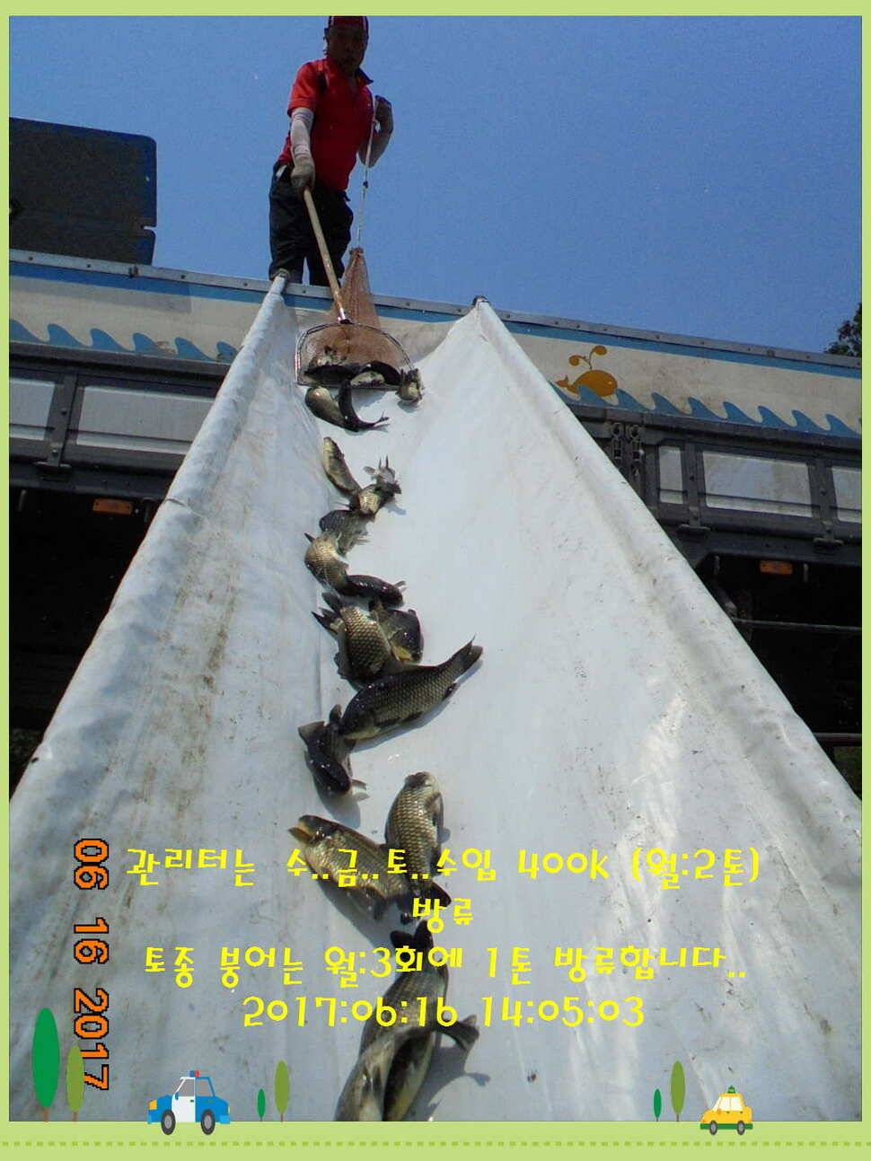 도심속의 작은 쉼터 화성 관리 낚시터입니다관리에 어둠이 내리면 (유료터정보 - 유료터점주조황)