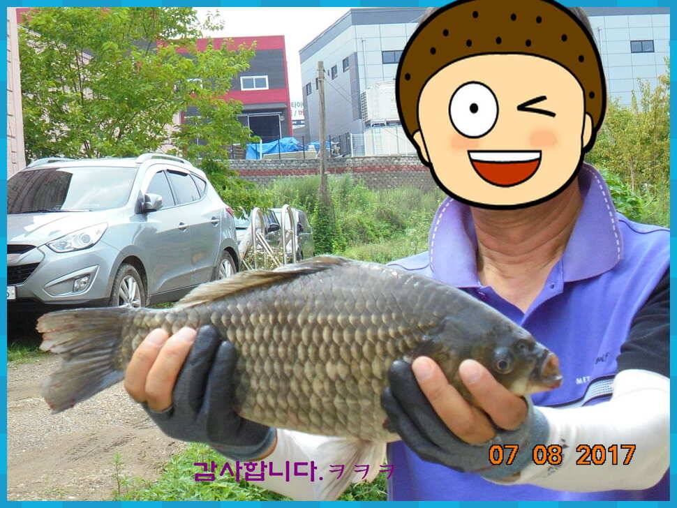 도심속의 작은 쉼터 화성 관리 낚시터입니다연일 대박 (유료터정보 - 유료터점주조황)