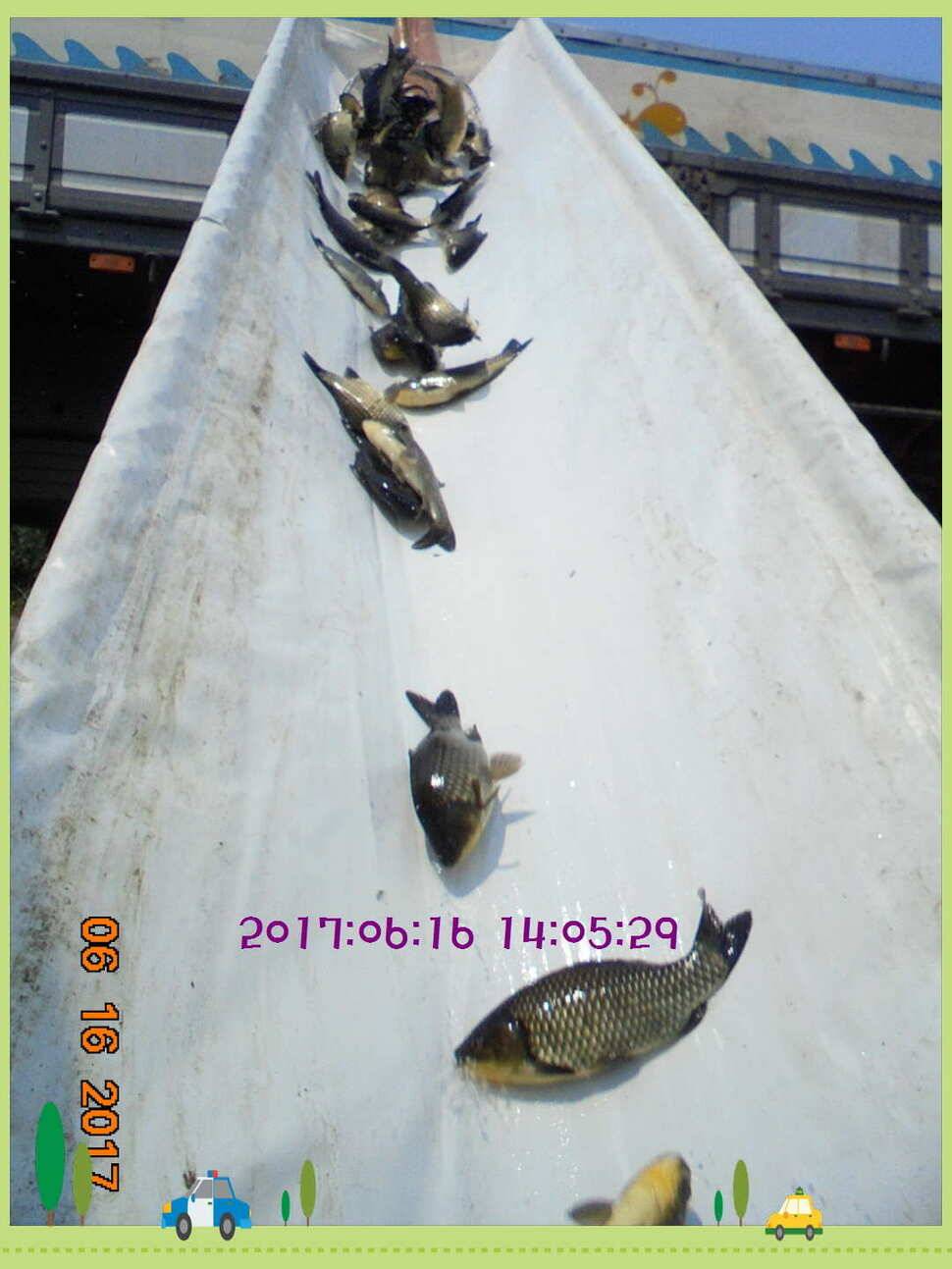 도심속의 작은 쉼터 화성 관리 낚시터입니다관리에 어둠이 내리면 (유료터정보 - 유료터점주조황)