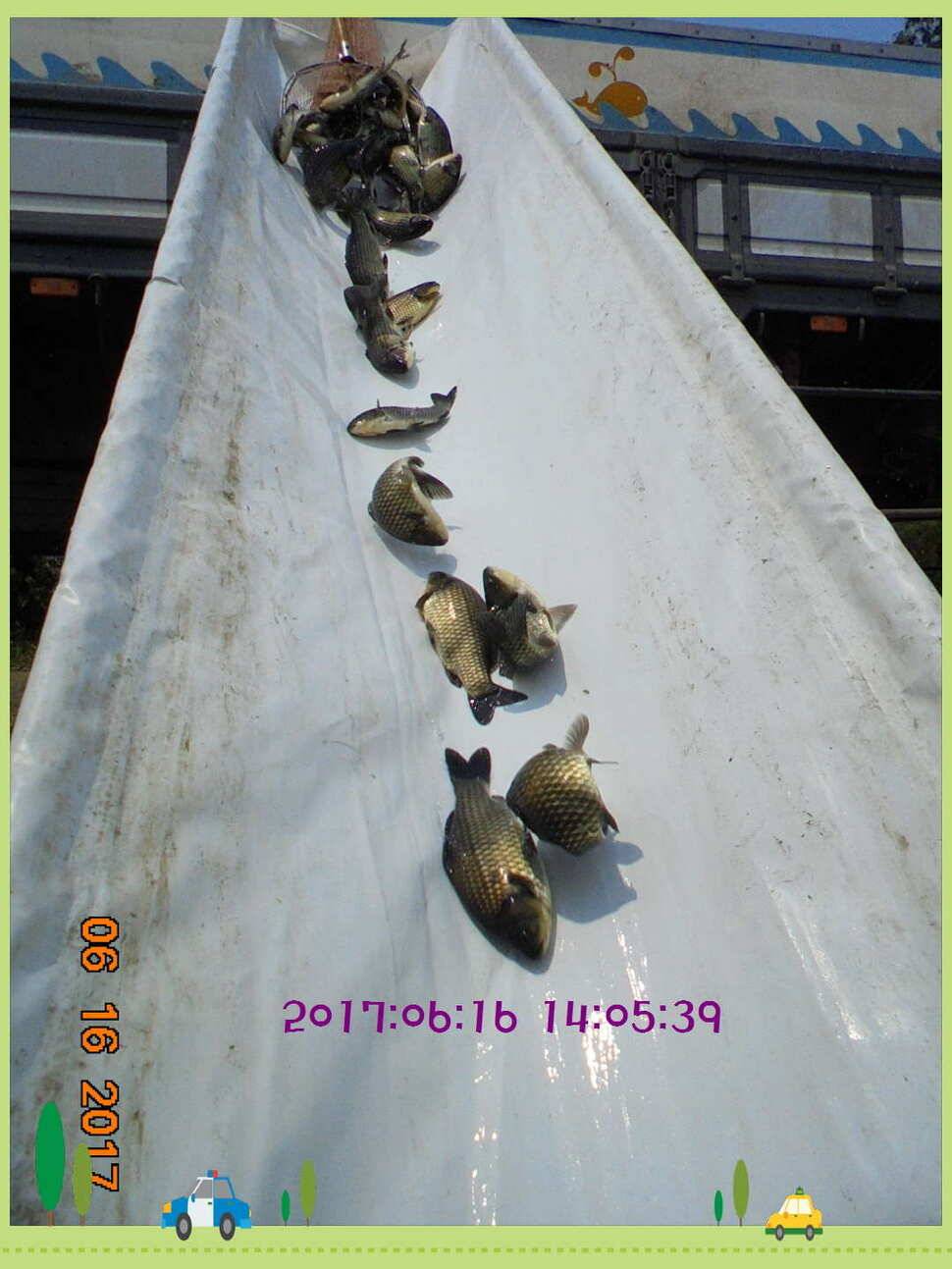 도심속의 작은 쉼터 화성 관리 낚시터입니다관리에 어둠이 내리면 (유료터정보 - 유료터점주조황)