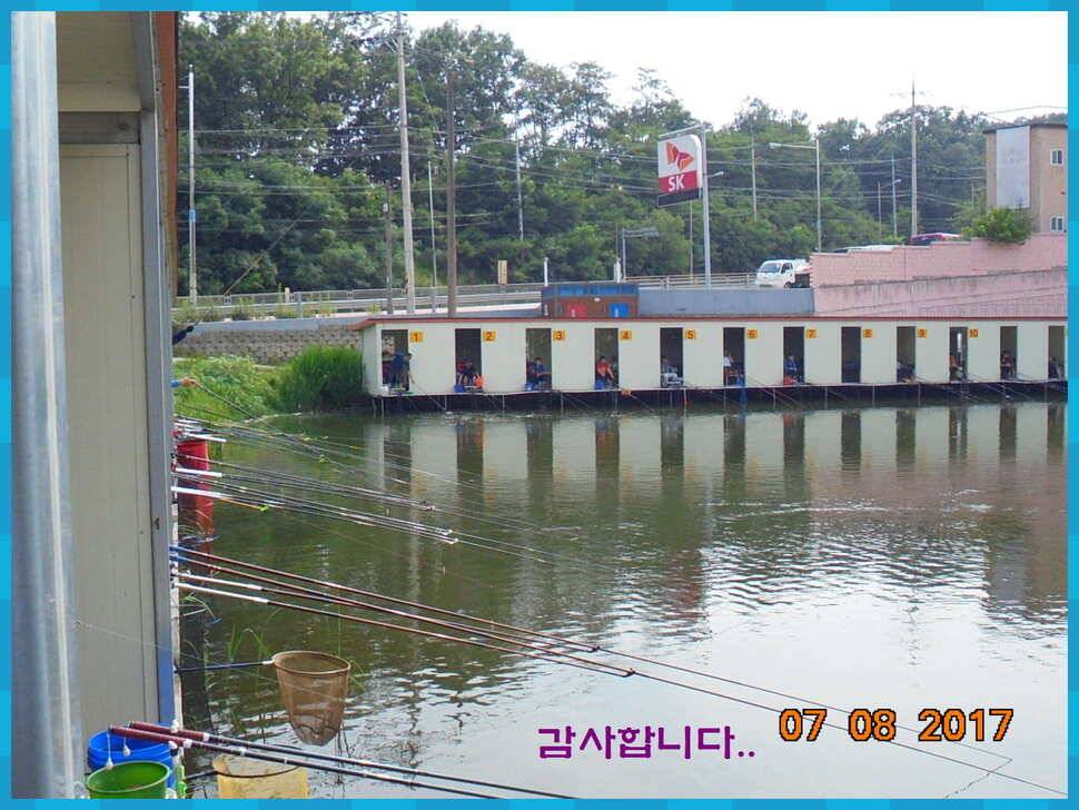 도심속의 작은 쉼터 화성 관리 낚시터입니다연일 대박 (유료터정보 - 유료터점주조황)