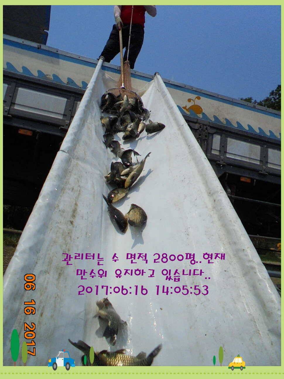 도심속의 작은 쉼터 화성 관리 낚시터입니다관리에 어둠이 내리면 (유료터정보 - 유료터점주조황)