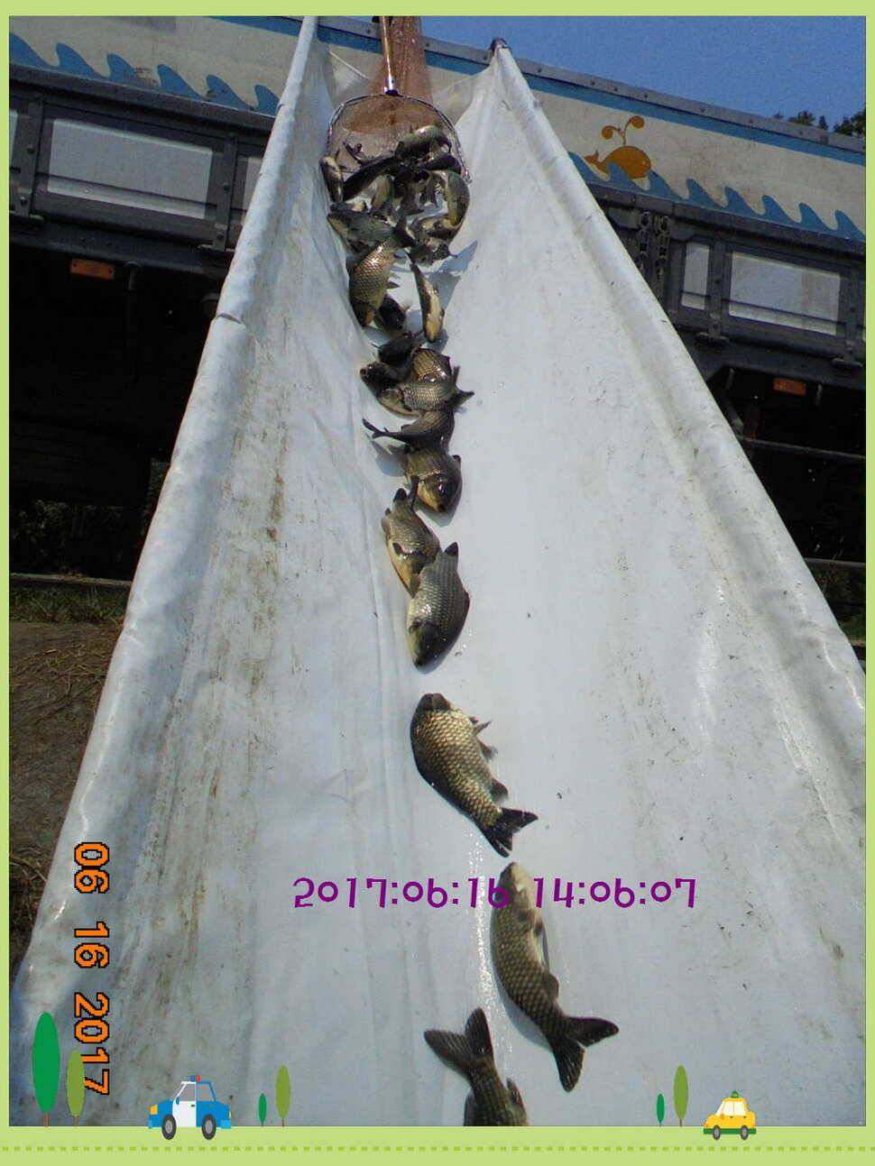 도심속의 작은 쉼터 화성 관리 낚시터입니다관리에 어둠이 내리면 (유료터정보 - 유료터점주조황)