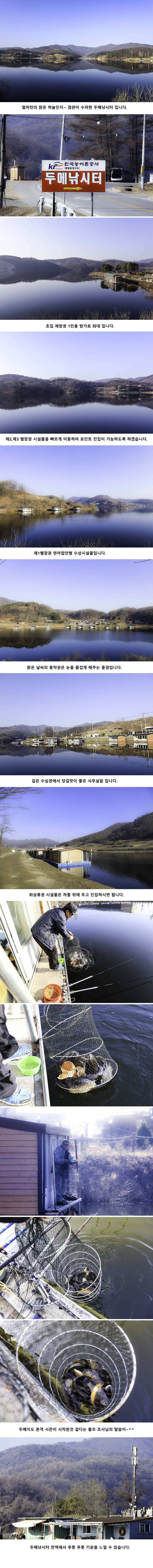 안성두메낚시터 3월8일 조황안내 (유료터정보 - 유료터점주조황)