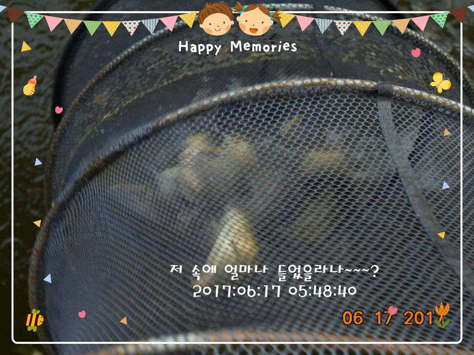 도심속의 작은 쉼터 화성 관리 낚시터입니다관리에 어둠이 내리면 (유료터정보 - 유료터점주조황)