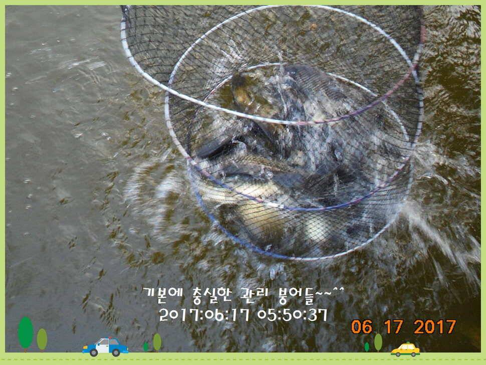 도심속의 작은 쉼터 화성 관리 낚시터입니다관리에 어둠이 내리면 (유료터정보 - 유료터점주조황)