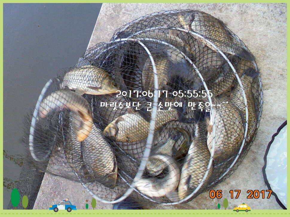 도심속의 작은 쉼터 화성 관리 낚시터입니다관리에 어둠이 내리면 (유료터정보 - 유료터점주조황)