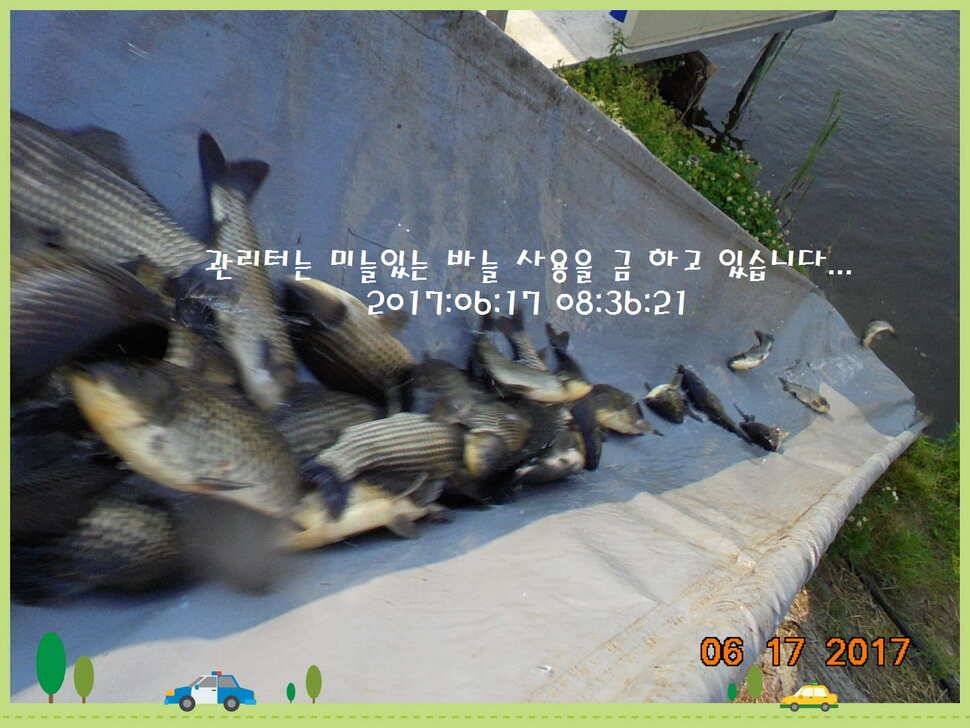도심속의 작은 쉼터 화성 관리 낚시터입니다관리에 어둠이 내리면 (유료터정보 - 유료터점주조황)