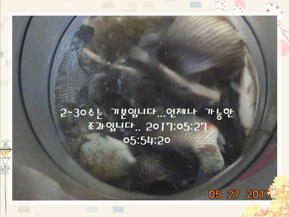 도심속의 작은 쉼터 화성 관리 낚시터입니다고른 조황 (유료터정보 - 유료터점주조황)