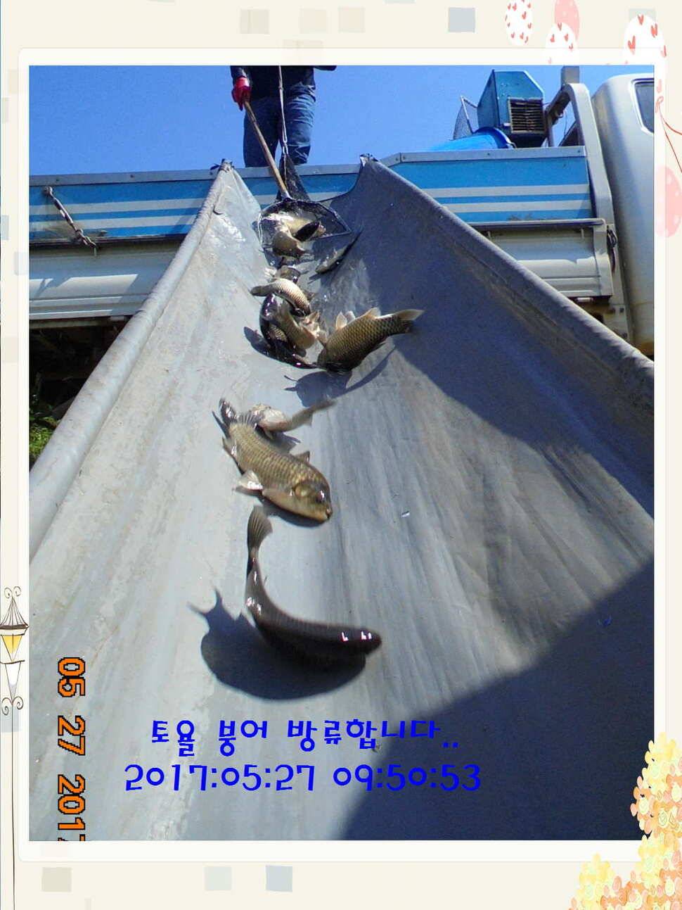 도심속의 작은 쉼터 화성 관리 낚시터입니다고른 조황 (유료터정보 - 유료터점주조황)