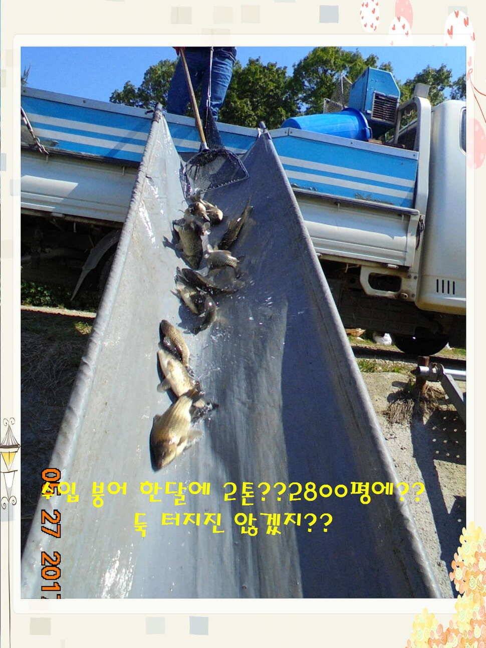도심속의 작은 쉼터 화성 관리 낚시터입니다고른 조황 (유료터정보 - 유료터점주조황)