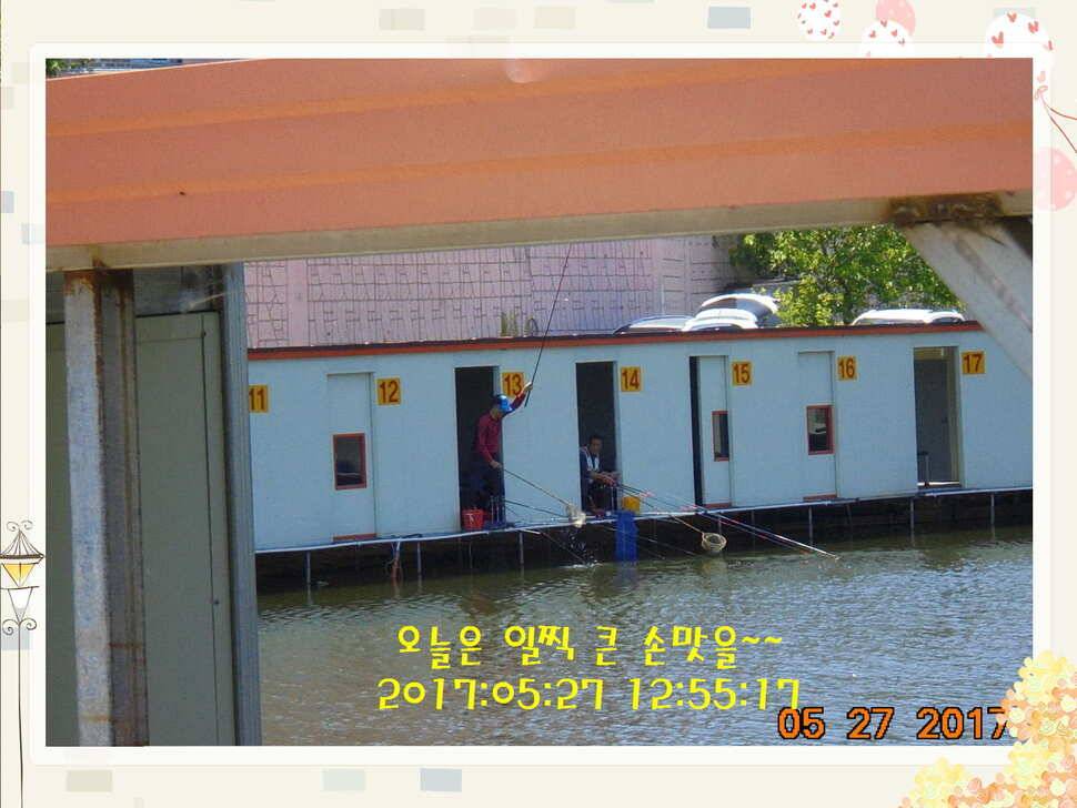 도심속의 작은 쉼터 화성 관리 낚시터입니다고른 조황 (유료터정보 - 유료터점주조황)