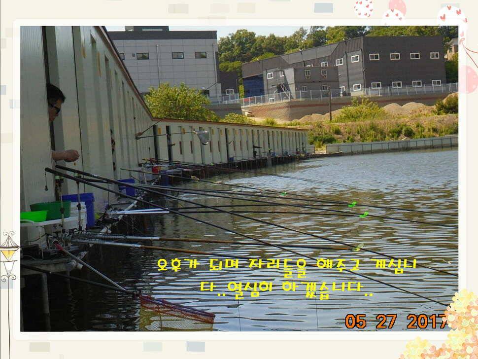 도심속의 작은 쉼터 화성 관리 낚시터입니다고른 조황 (유료터정보 - 유료터점주조황)