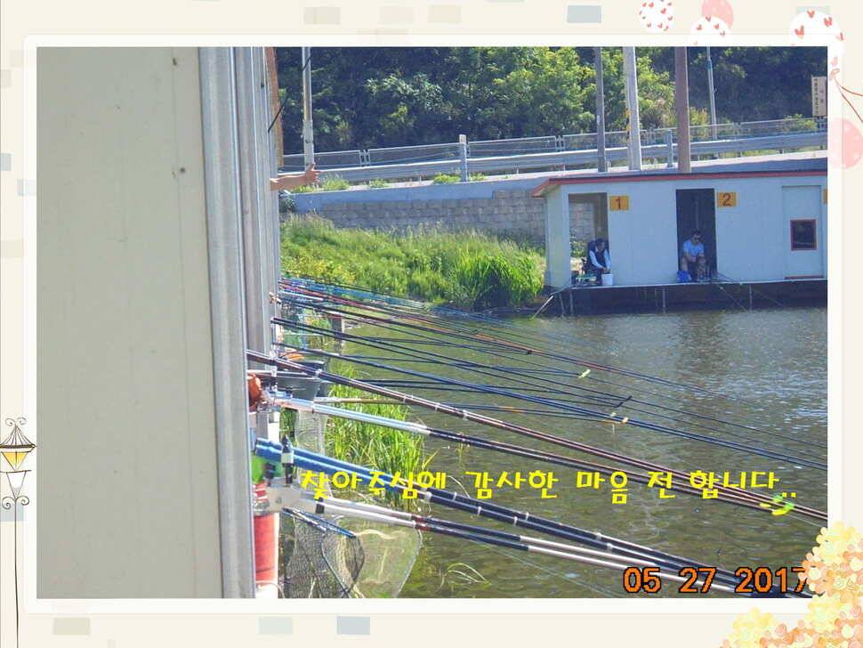 도심속의 작은 쉼터 화성 관리 낚시터입니다고른 조황 (유료터정보 - 유료터점주조황)