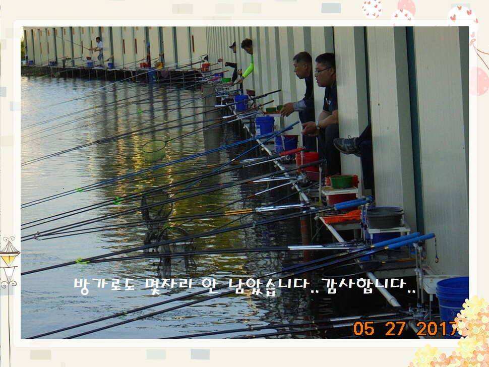 도심속의 작은 쉼터 화성 관리 낚시터입니다고른 조황 (유료터정보 - 유료터점주조황)