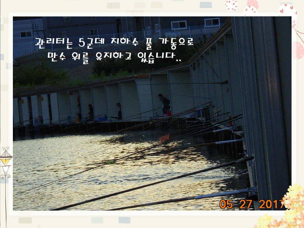 도심속의 작은 쉼터 화성 관리 낚시터입니다고른 조황 (유료터정보 - 유료터점주조황)