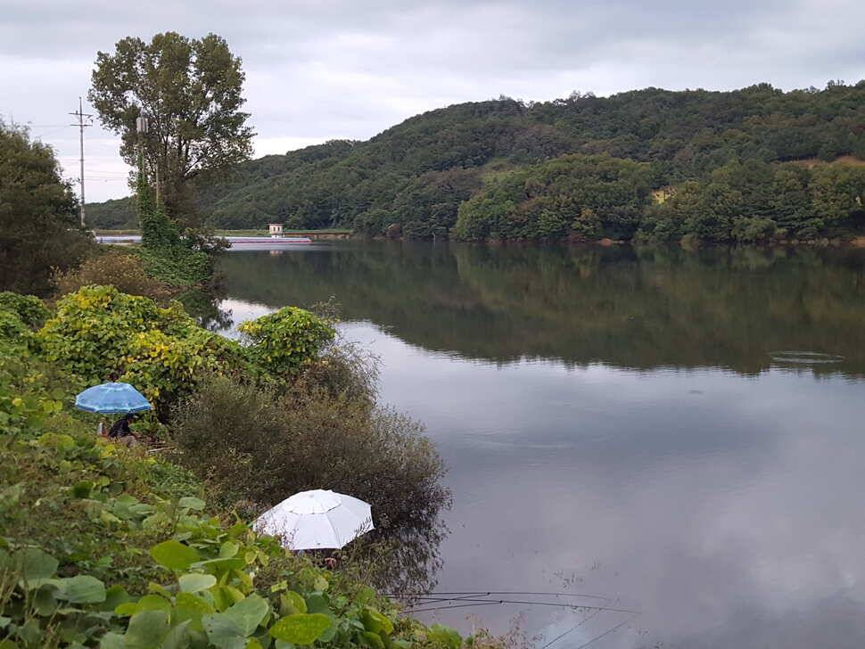 안성죽산장계지조항전경입니다 (유료터정보 - 유료터점주조황)