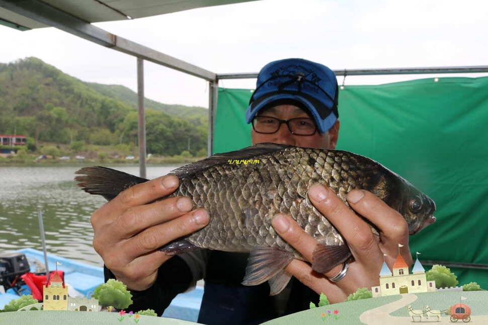 5월 둘쨋주 조황소식 (유료터정보 - 유료터점주조황)