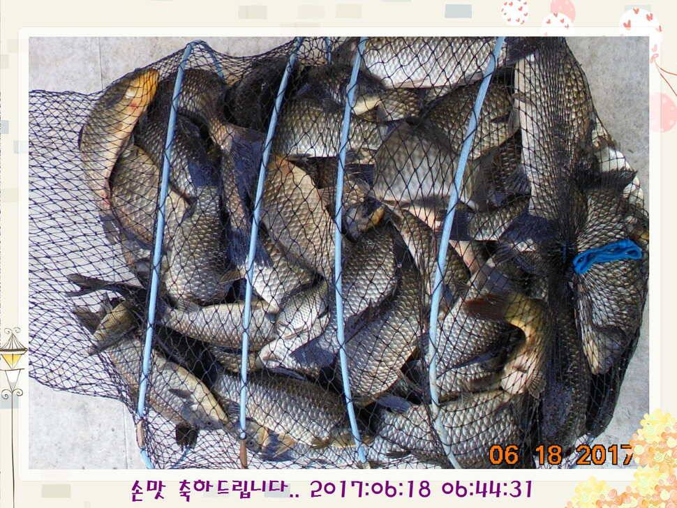 도심속의 작은 쉼터 화성 관리 낚시터입니다만 석 감사드립니다 (유료터정보 - 유료터점주조황)