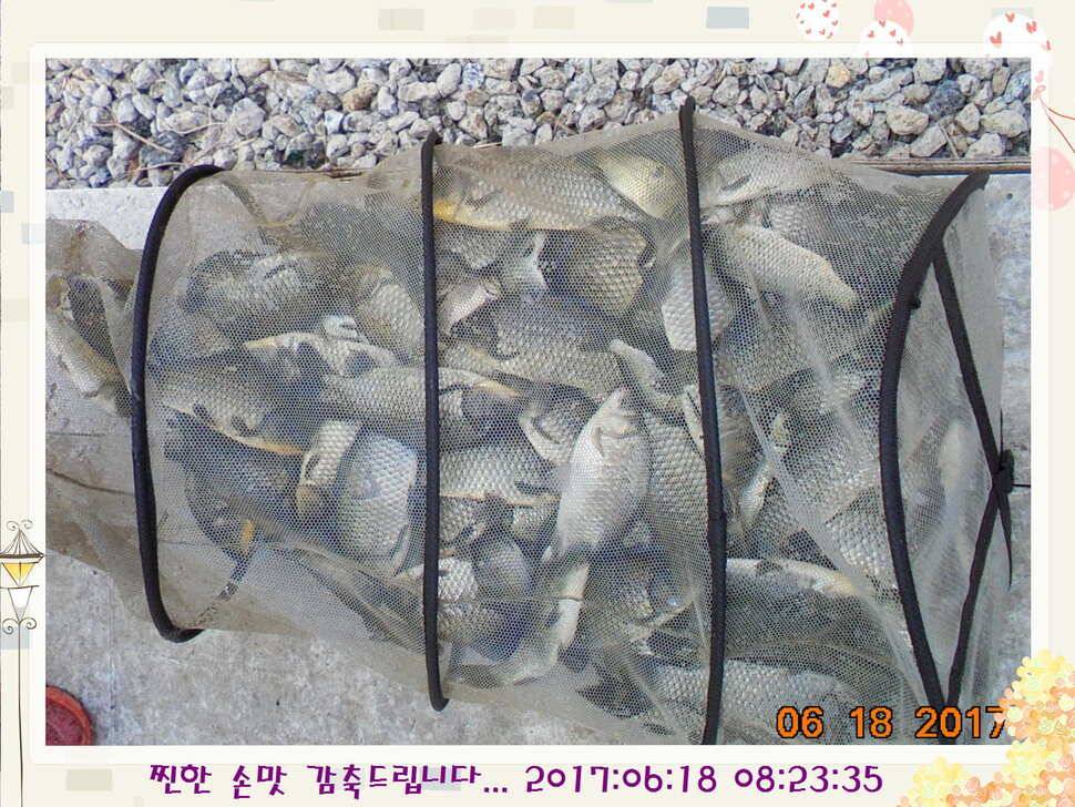 도심속의 작은 쉼터 화성 관리 낚시터입니다만 석 감사드립니다 (유료터정보 - 유료터점주조황)