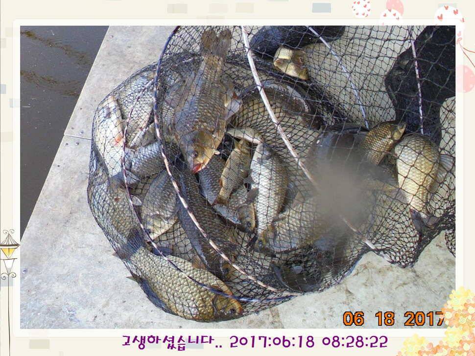 도심속의 작은 쉼터 화성 관리 낚시터입니다만 석 감사드립니다 (유료터정보 - 유료터점주조황)