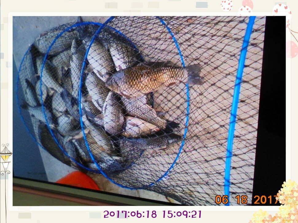 도심속의 작은 쉼터 화성 관리 낚시터입니다만 석 감사드립니다 (유료터정보 - 유료터점주조황)