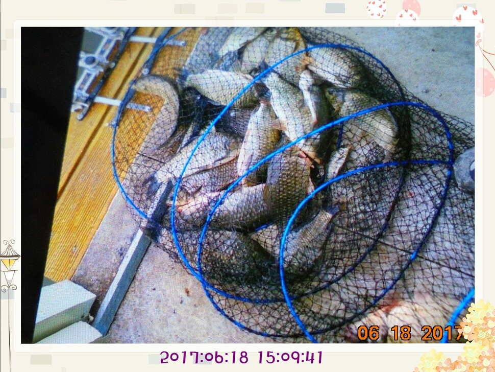 도심속의 작은 쉼터 화성 관리 낚시터입니다만 석 감사드립니다 (유료터정보 - 유료터점주조황)