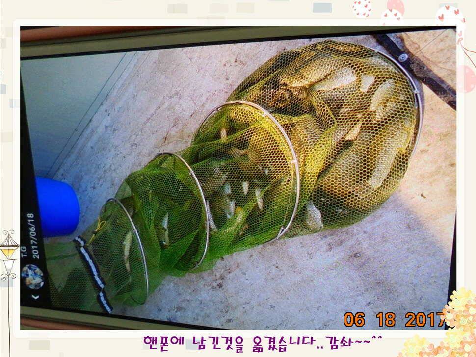 도심속의 작은 쉼터 화성 관리 낚시터입니다만 석 감사드립니다 (유료터정보 - 유료터점주조황)