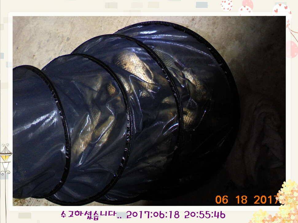도심속의 작은 쉼터 화성 관리 낚시터입니다만 석 감사드립니다 (유료터정보 - 유료터점주조황)
