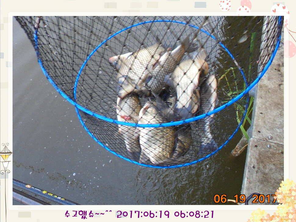 도심속의 작은 쉼터 화성 관리 낚시터입니다만 석 감사드립니다 (유료터정보 - 유료터점주조황)
