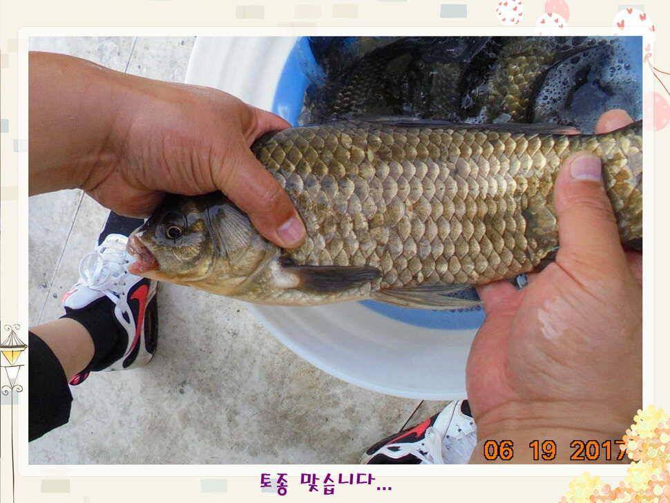 도심속의 작은 쉼터 화성 관리 낚시터입니다만 석 감사드립니다 (유료터정보 - 유료터점주조황)