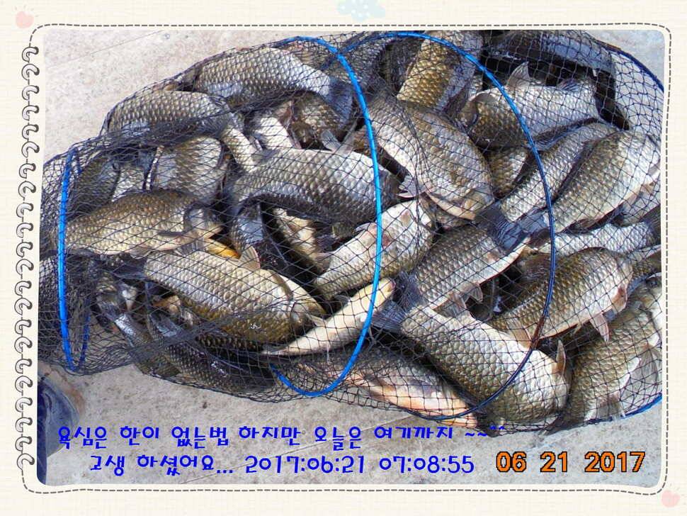 도심속의 작은 쉼터 화성 관리 낚시터입니다만 석 감사드립니다 (유료터정보 - 유료터점주조황)