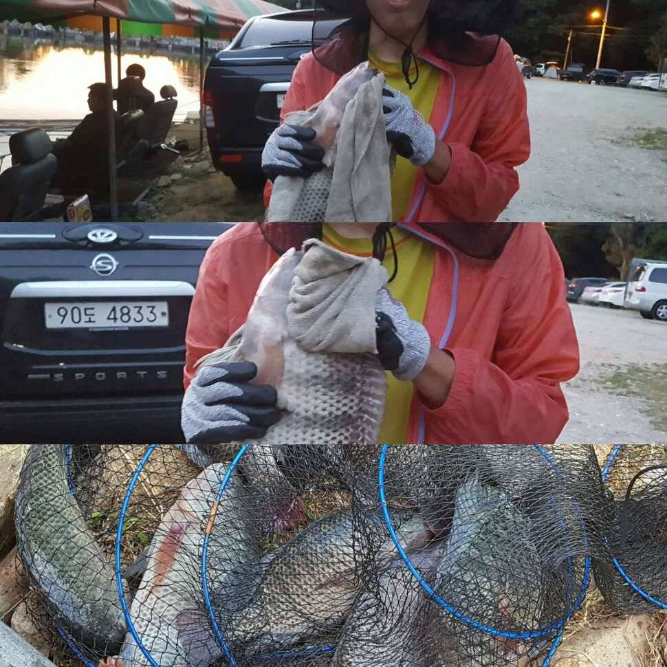 앙갚음 (유료터정보 - 유료터점주조황)