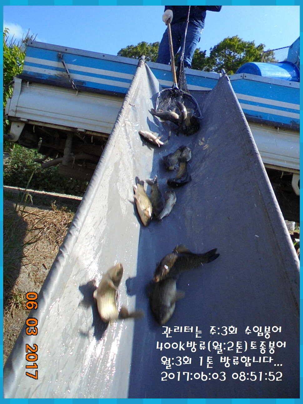 도심속의 작은 쉼터 화성 관리 낚시터입니다살아있네 밤 조황 (유료터정보 - 유료터점주조황)