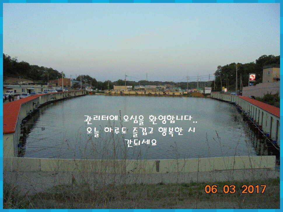 도심속의 작은 쉼터 화성 관리 낚시터입니다살아있네 밤 조황 (유료터정보 - 유료터점주조황)