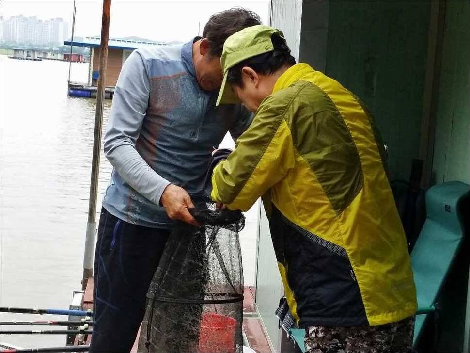 160702 송전지 서울집 조황 (유료터정보 - 유료터점주조황)