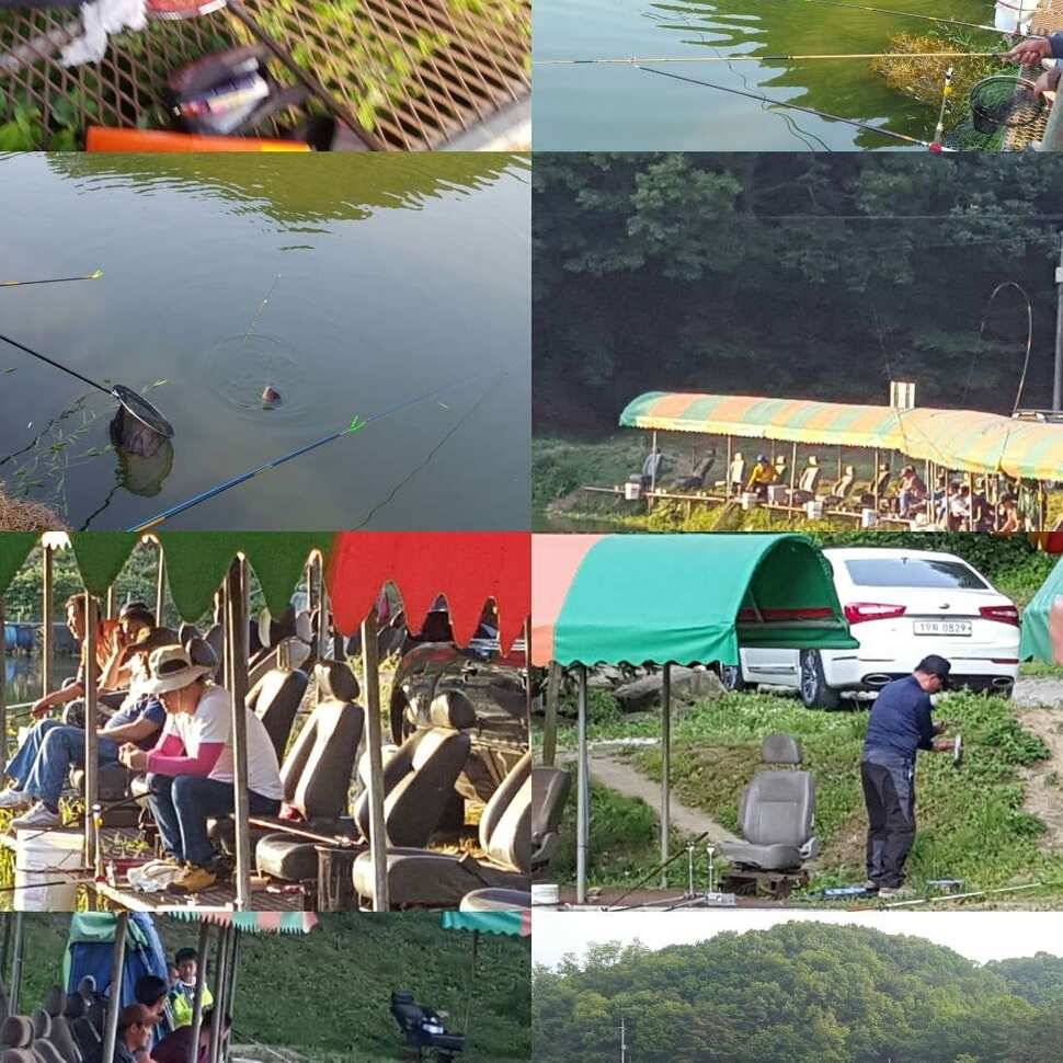 기가 차 (유료터정보 - 유료터점주조황)