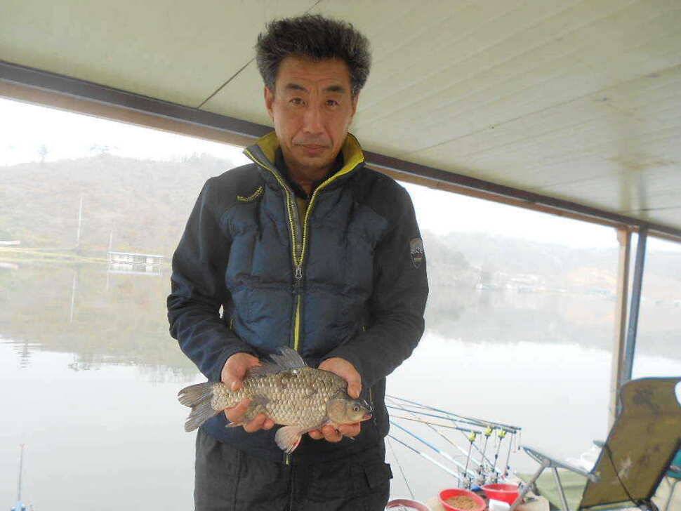 당진 가교리지 토종 큰 붕어 마릿수 증가 (유료터정보 - 유료터점주조황)