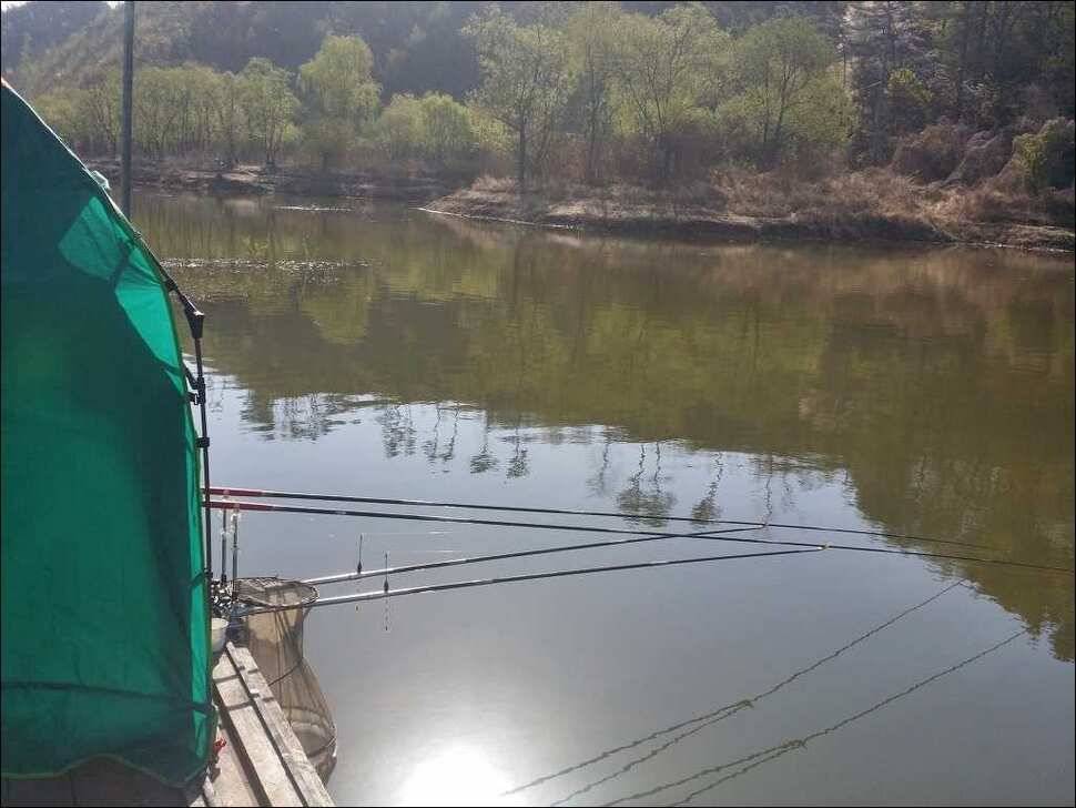 170419 송전지 서울집 조황 (유료터정보 - 유료터점주조황)