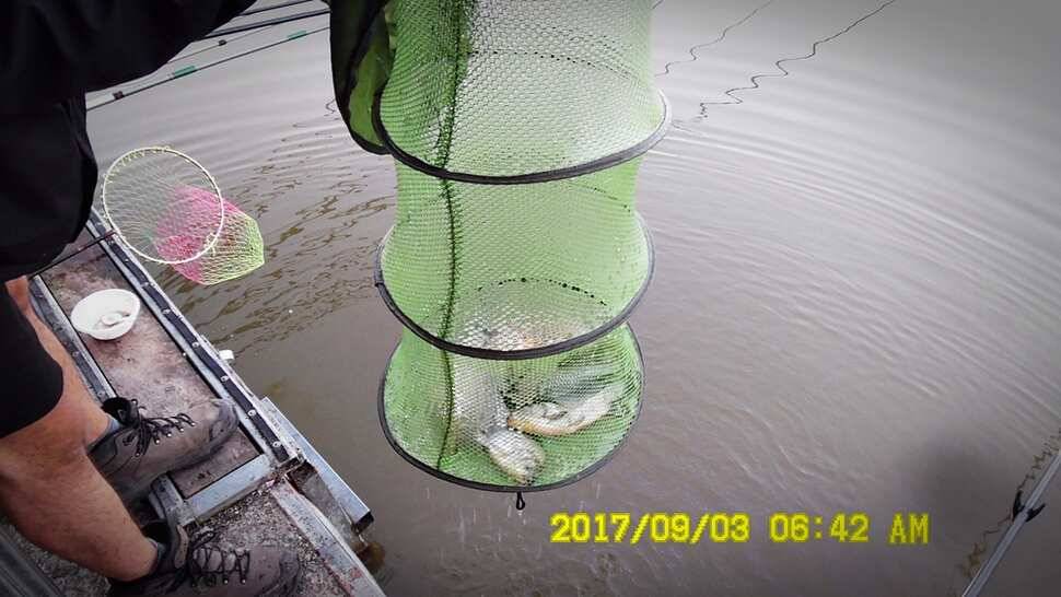 반제낚시터 주말조황정보 (유료터정보 - 유료터점주조황)