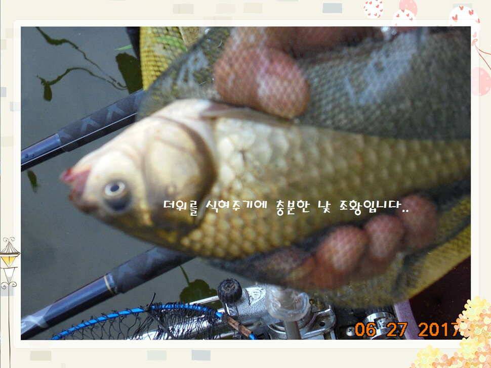 도심속의 작은 쉼터 화성 관리 낚시터입니다3주 연속 만석 감사드립니다 (유료터정보 - 유료터점주조황)