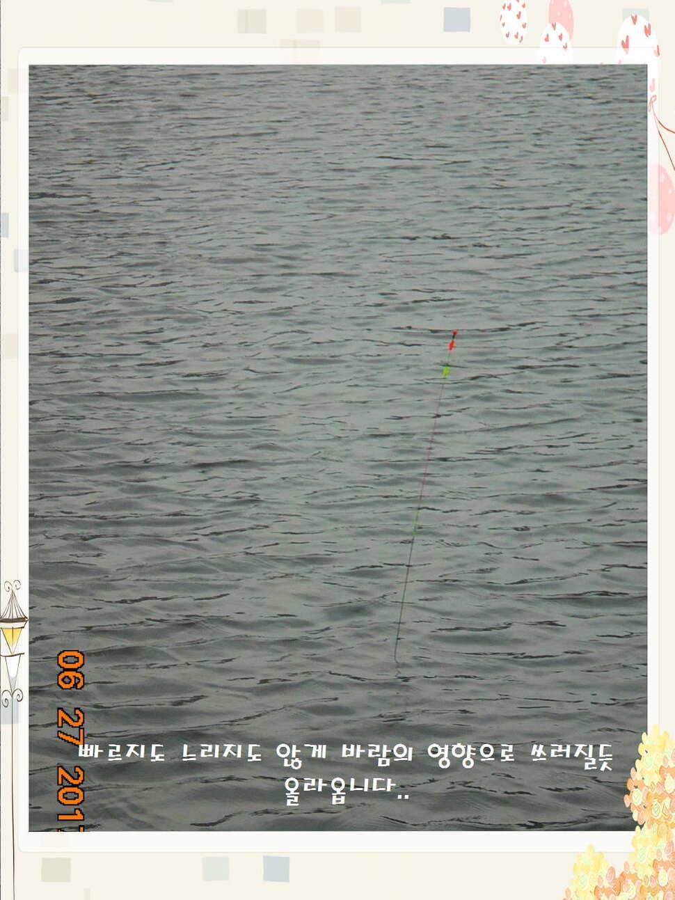 도심속의 작은 쉼터 화성 관리 낚시터입니다3주 연속 만석 감사드립니다 (유료터정보 - 유료터점주조황)